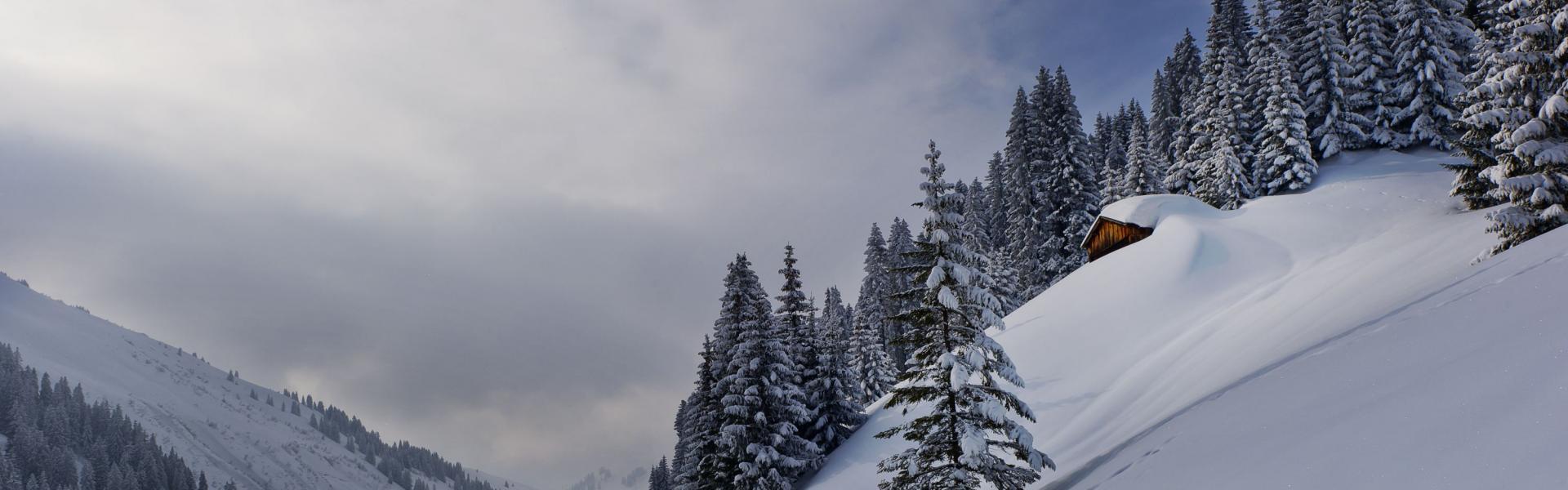 Winterwandern in Damüls im Bregenzerwald